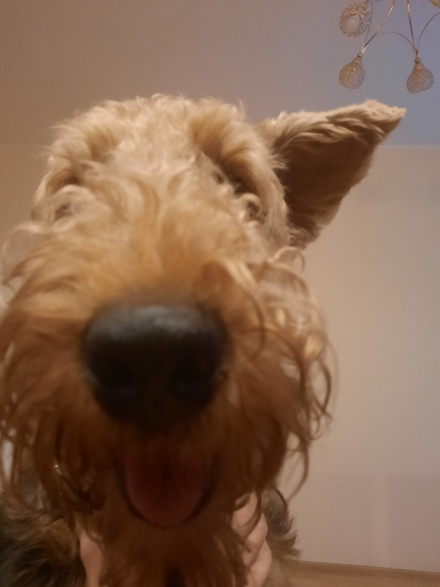 Давай читай ниже