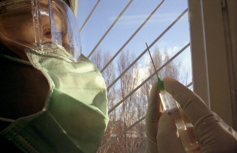    Фото: © Mikhail Dyagtyarev/globallookpress