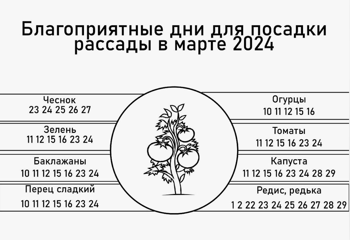 Посевной календарь на август 2024 дачный участок