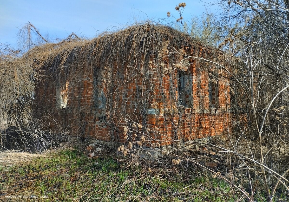 РАНЬШЕ ТУТ ЖИЛИ ТЫСЯЧИ ЛЮДЕЙ, ТЕПЕРЬ НЕТ НИКОГО. ЗАБРОШЕННОЕ СТАРИННОЕ СЕЛО  ГРЕМЯЧЕВО | Заброшенный Мир | Дзен