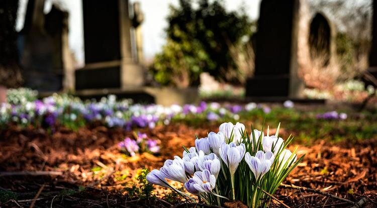 Фото: pixabay.com