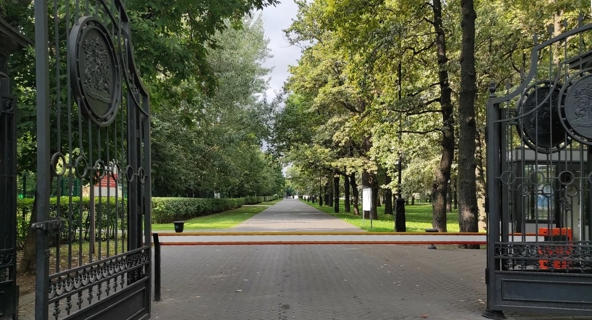    Яндекс Карты