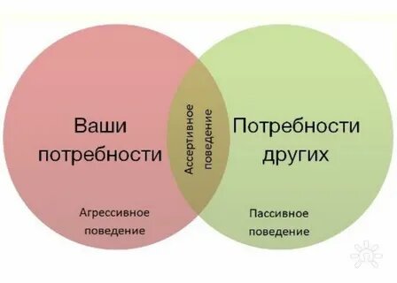 Ассертивная модель поведения
