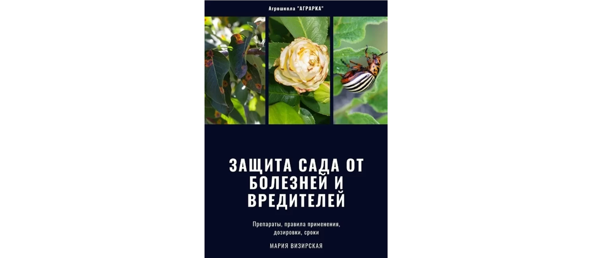 Теплица своими руками: 6 бюджетных вариантов | Naogorode | Дзен