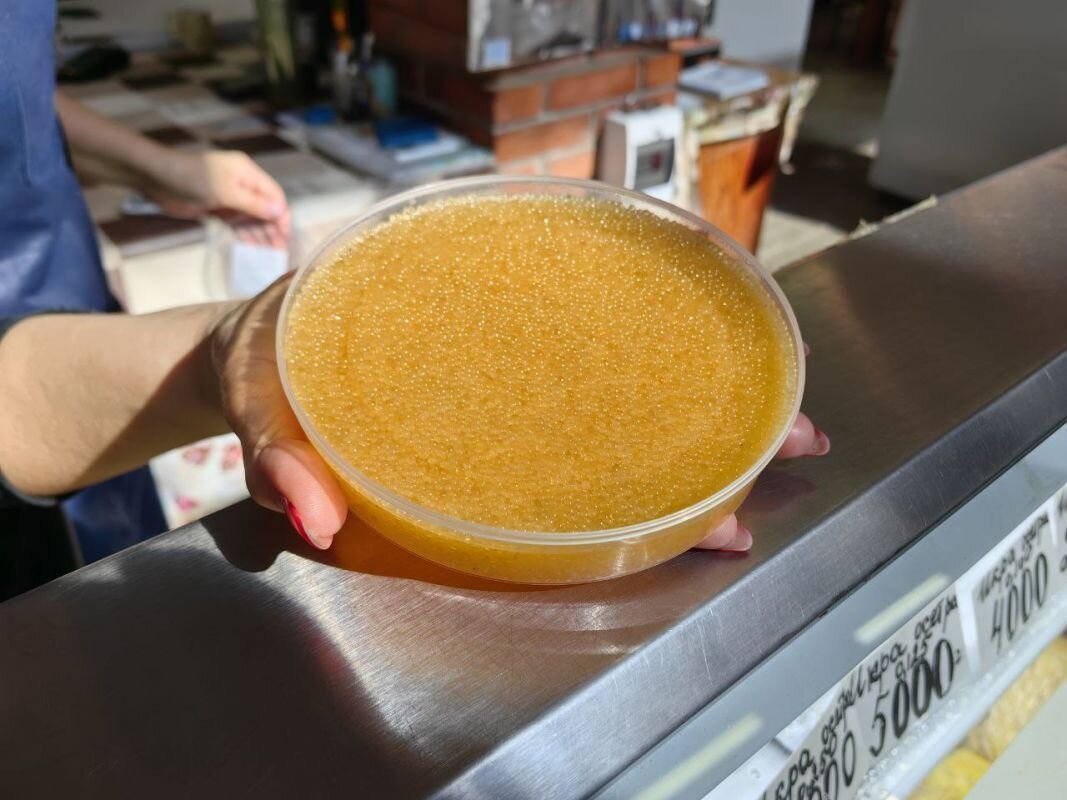 Фото: Р. Мухтарова 