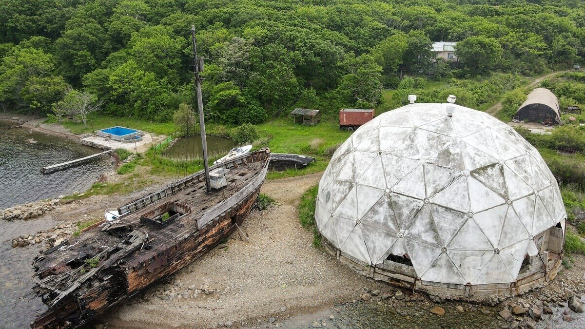     Животных часто использовали в военных целях, но обычно на слуху были истории про боевых коней, псов и котов. Оказывается, в армии служили даже дельфины. Недавно специалисты раскрыли секрет военной подготовки морских животных.