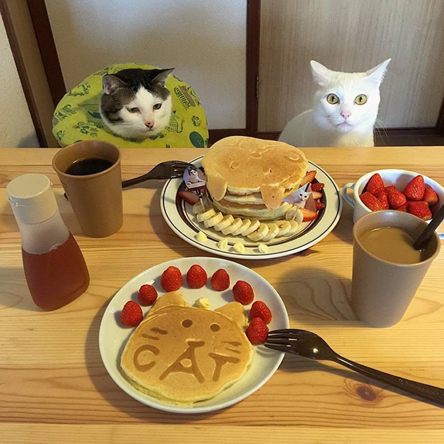 Источник: pinterest.com