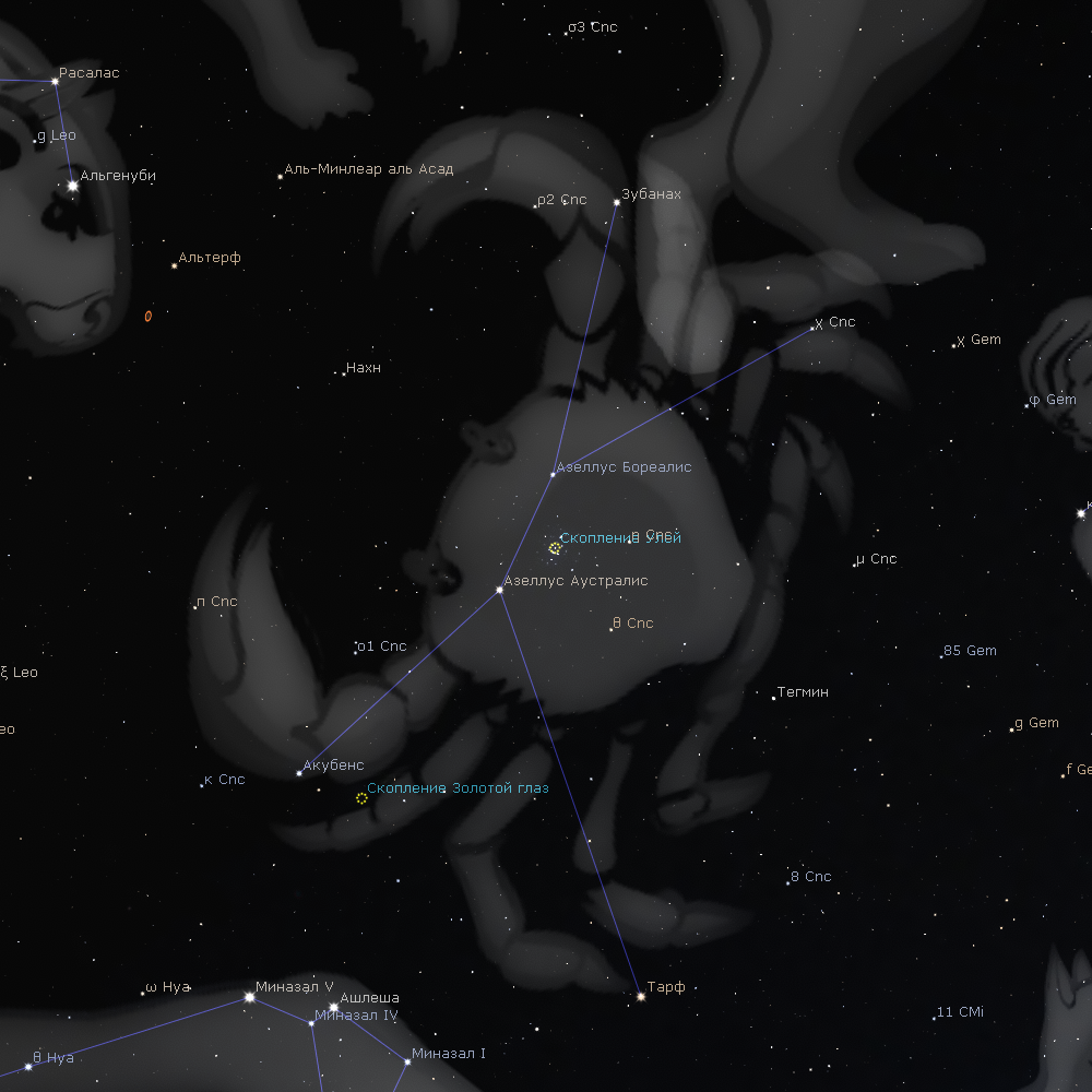 Созвездие Рака (скриншот из программы Stellarium)
