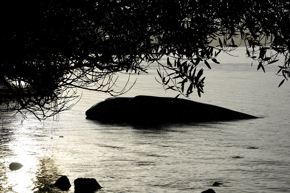    Steve Bell / Getty Images