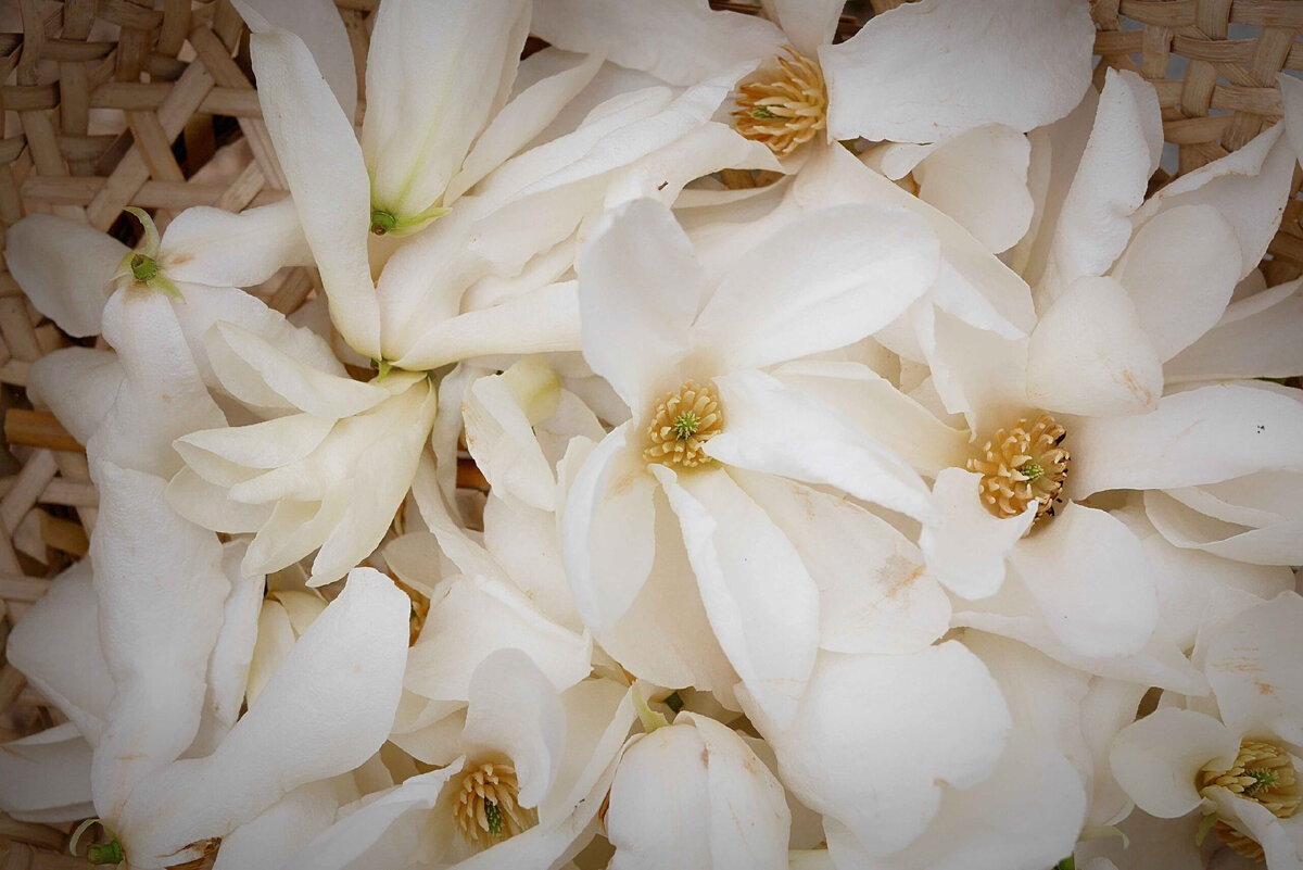 Фото из свободного источника интернета