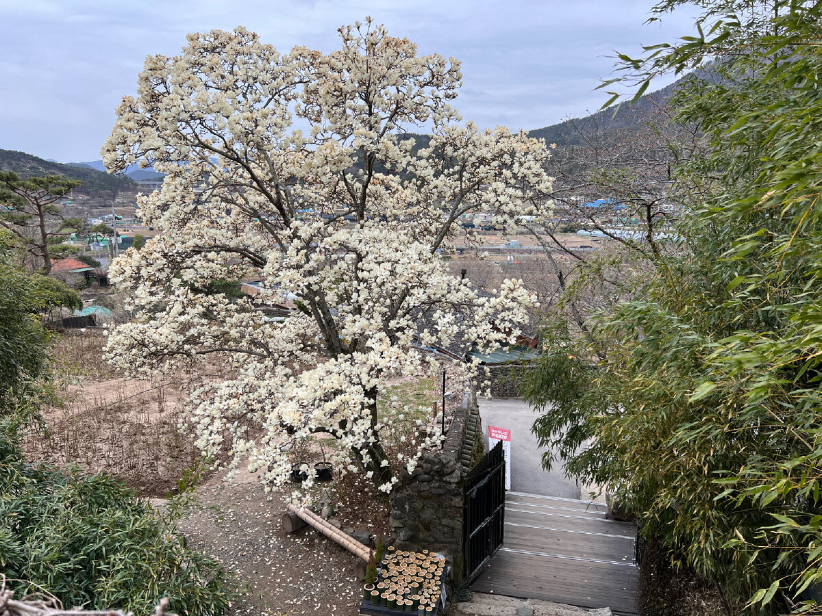 Пусан. Фото автора 