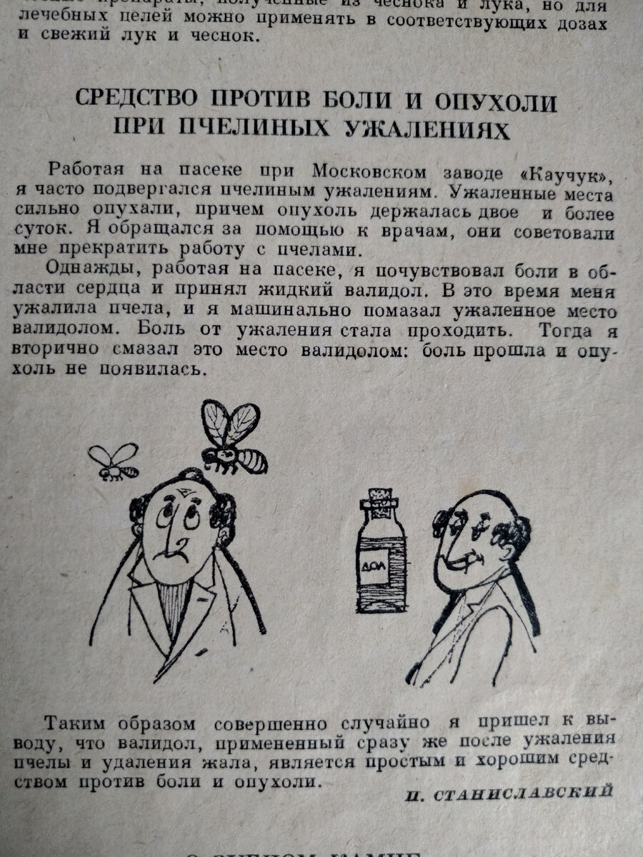 Мода и кулинарные советы 60-х | Надежда пишет | Дзен