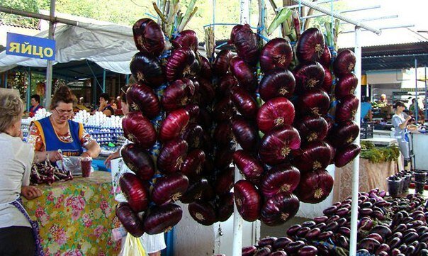 Ялтинский лук. Фото автора