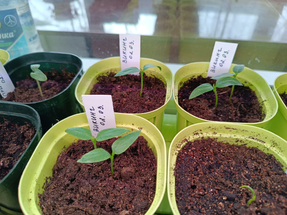 БЫЛО - фото 8 марта