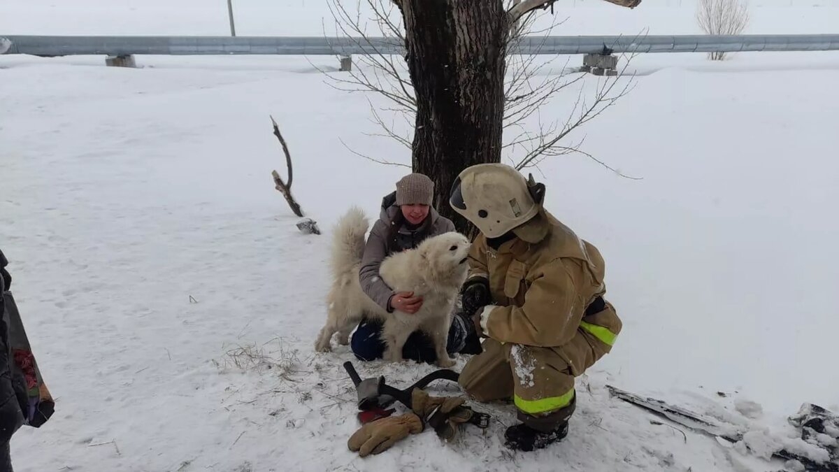 © Photo : Пресс-служба МЧС Казахстана