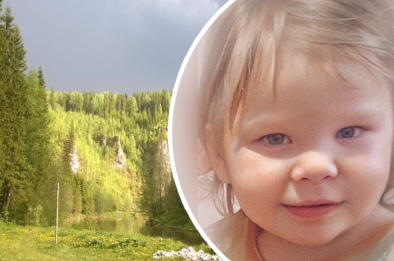 Милена 2-х лет убежала в лес и пропала. Ее искали сотни человек. Надежды уже не было