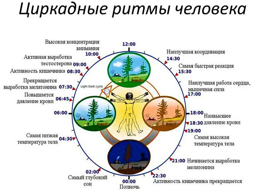 фото из социальных сетей и открытых источников