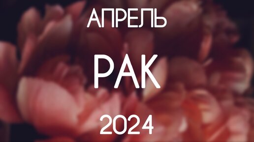 Рак. Апрель 2024. События месяца. Гороскоп на картах Таро