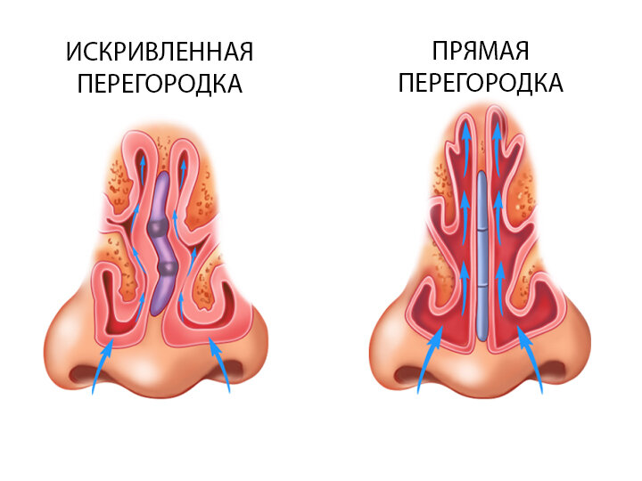 Источник: https://www.medprosvet.spb.ru/