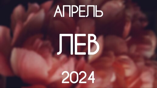 Лев ♌️ Каким будет Апрель 2024. Таро-прогноз