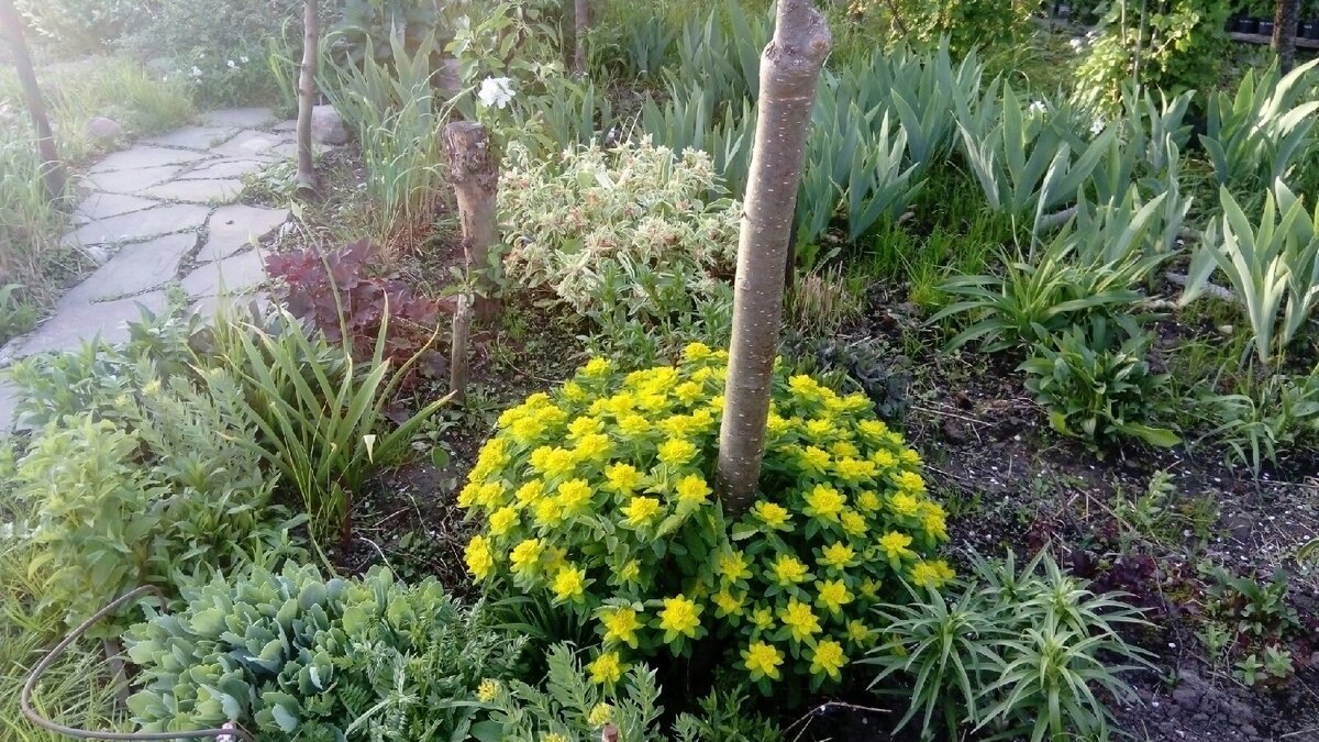 был месяц май