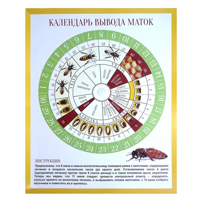    Календарь вывода маток очень нужен и применим матководами (матковод - пчеловод, специализирующийся на выведении пчелиных маток с дальнейшей их реализацией), а также широко используется...