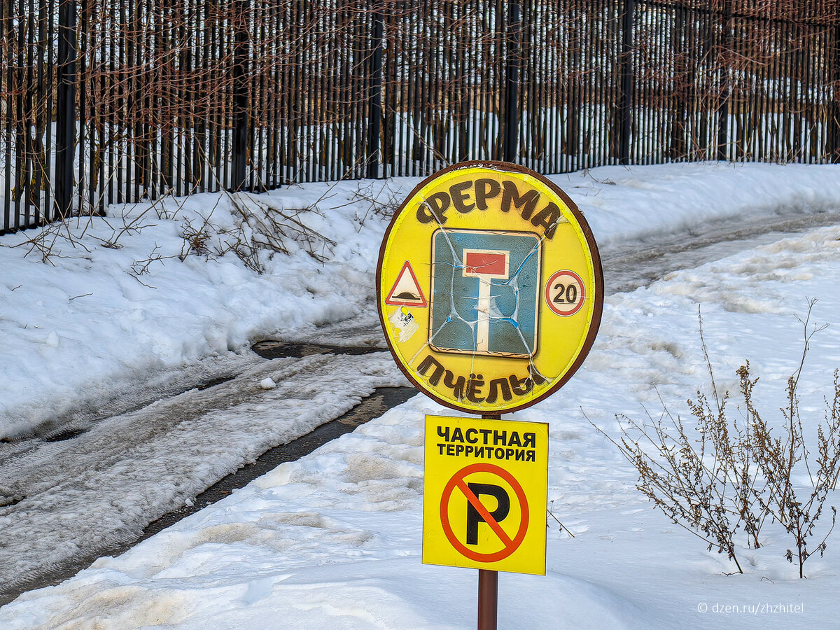 Домодедово пирамида в никитском
