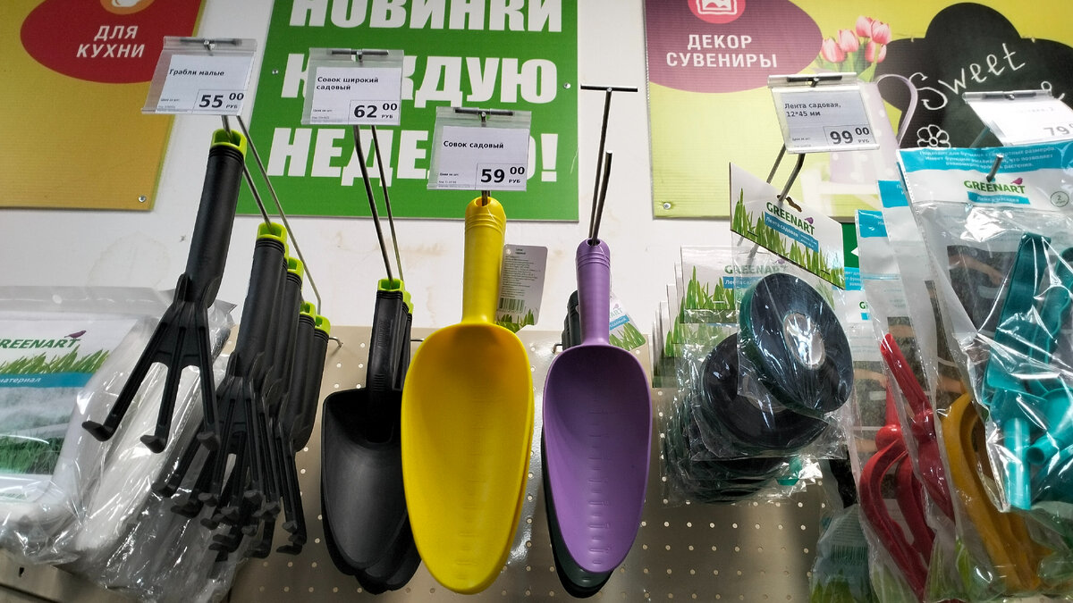 Фото автора канала. Не реклама