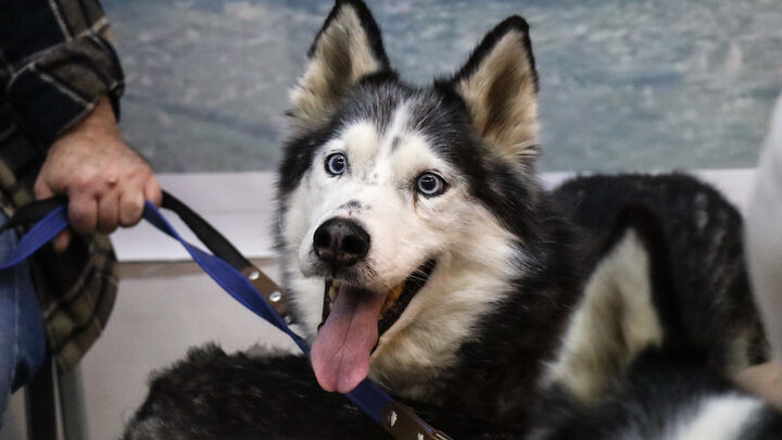 ФОТО: ELENA MAYOROVA/GLOBALLOOKPRESS