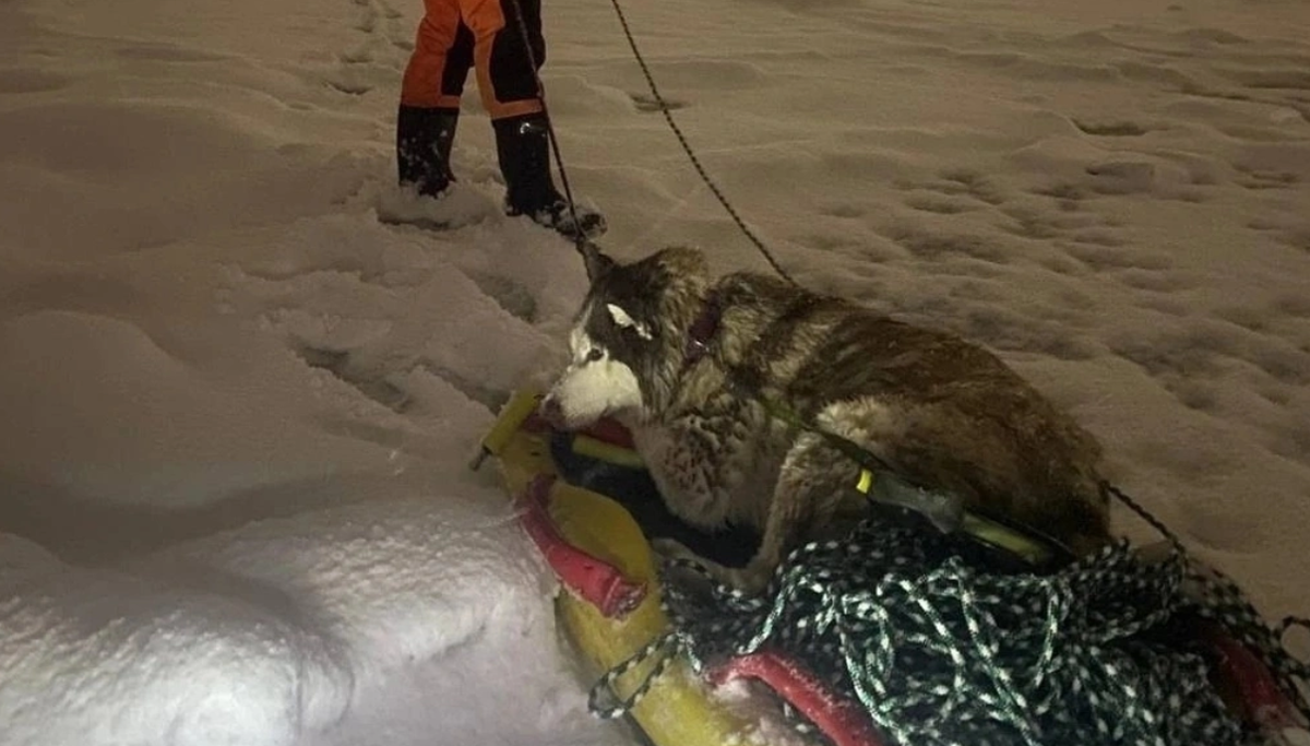 Аварийно-спасательная служба Северодвинска