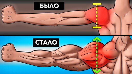 Гантели сборные Elitum 2х26 кг с ABS покрытием