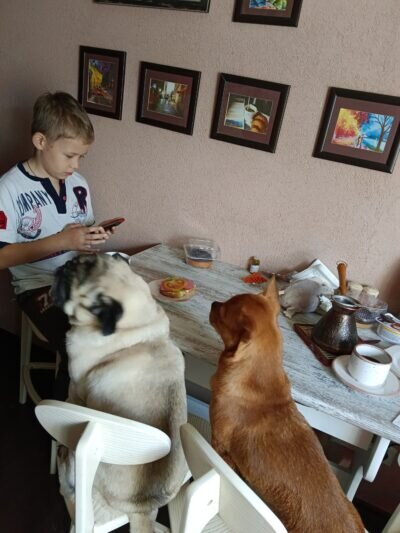 Фото - автора.