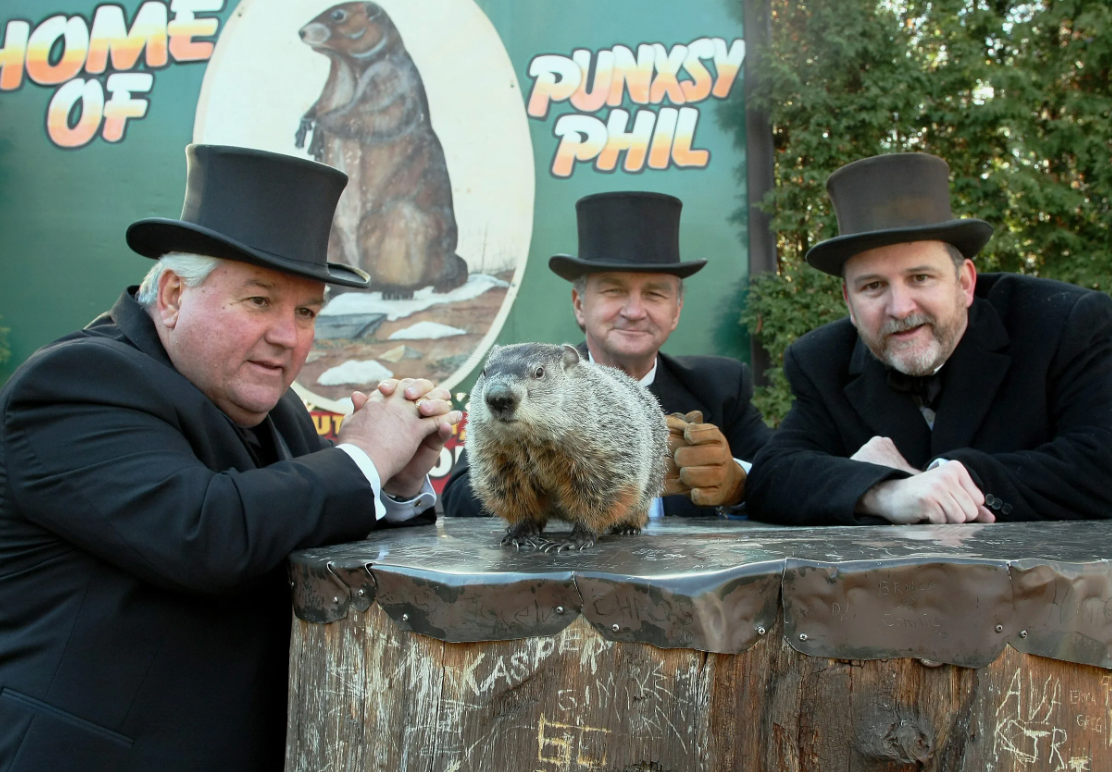 Фил день. День сурка (Groundhog Day). Панксатони штат Пенсильвания. Punxsutawney Phil. Сурок Фил из Панксатони.