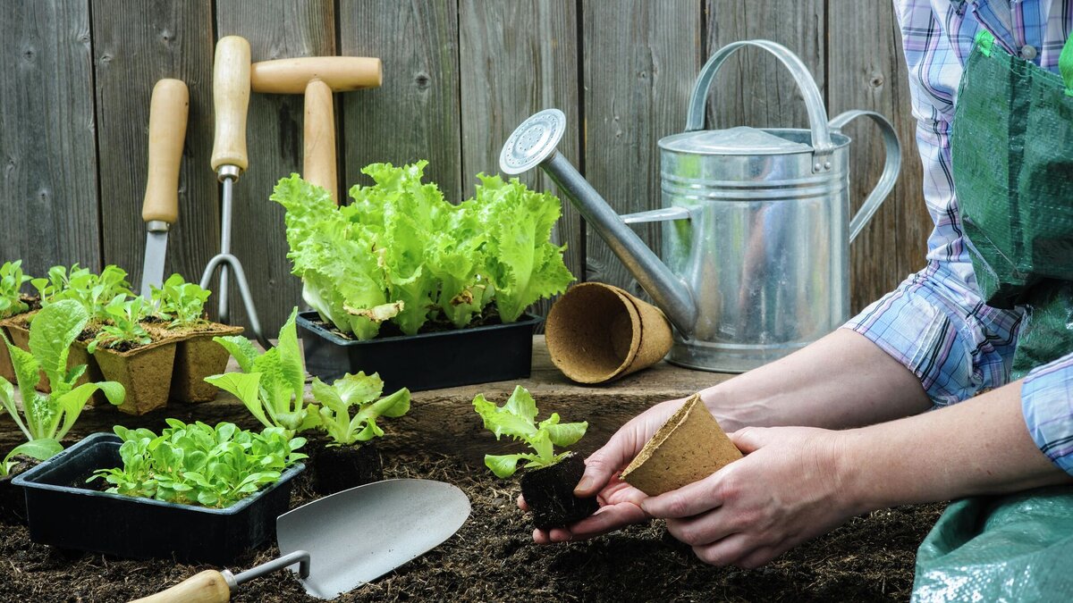 лунный календарь на 2023 год садовода и огородника. лунный календарь садовода и огородника на апрель 2022. посадочные дни в марте 2024. лунный календарь на 2023 для огородников. календарь посева.