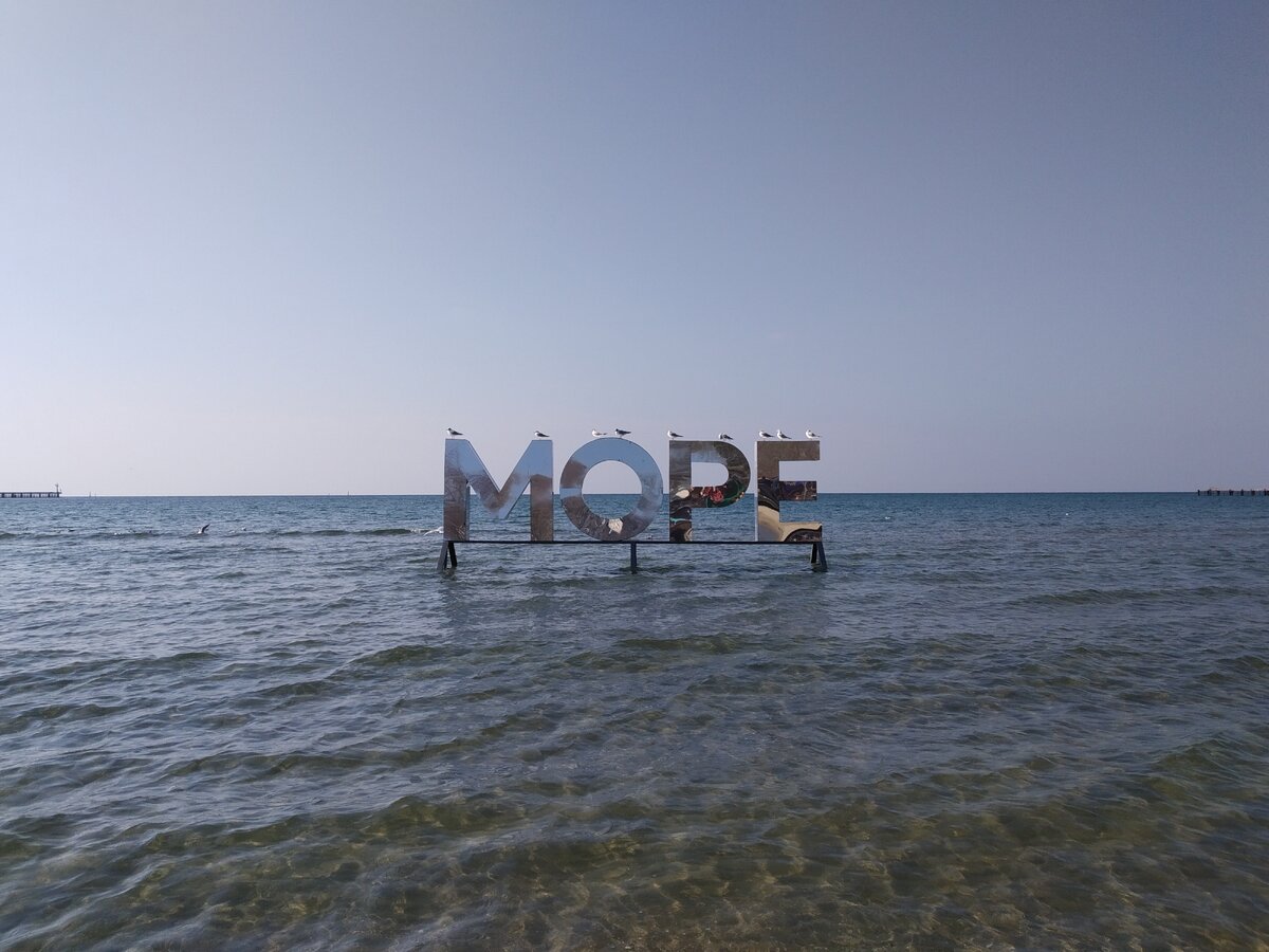 Чайки на МОРЕ отдыхают * Анапа 10.03.24 г. (фото автора публикации)