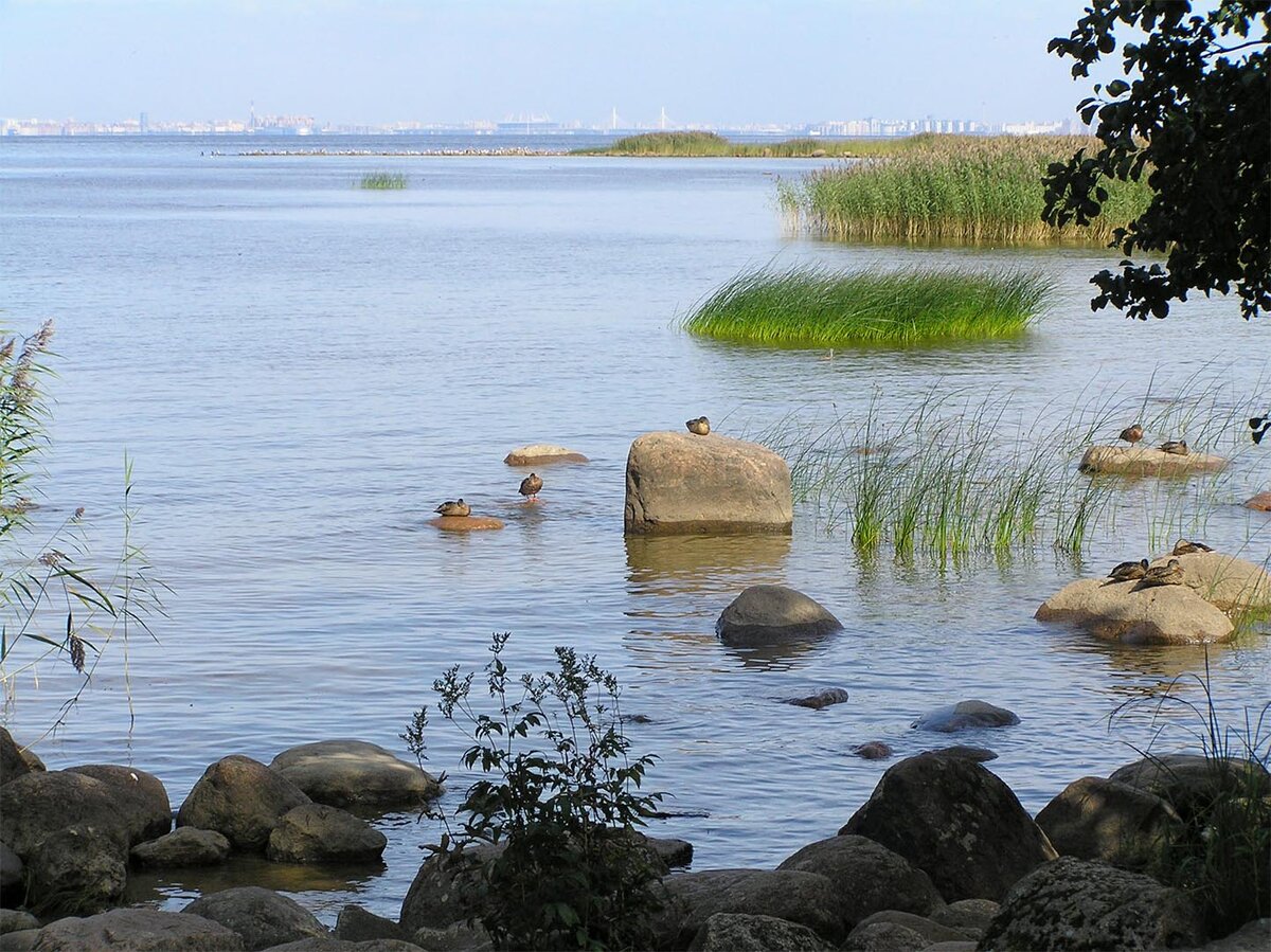 Пляж парка "Александрия"