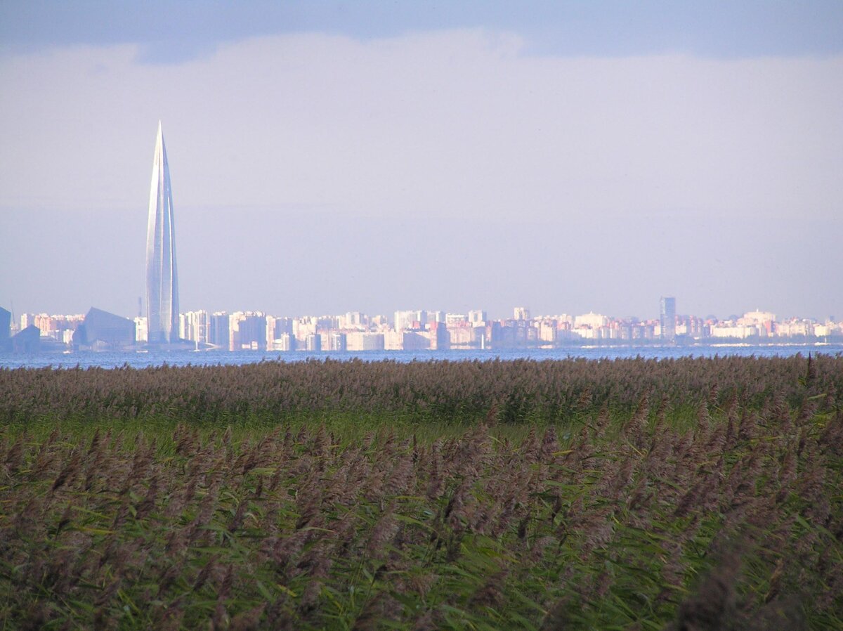 Пляж парка "Александрия"