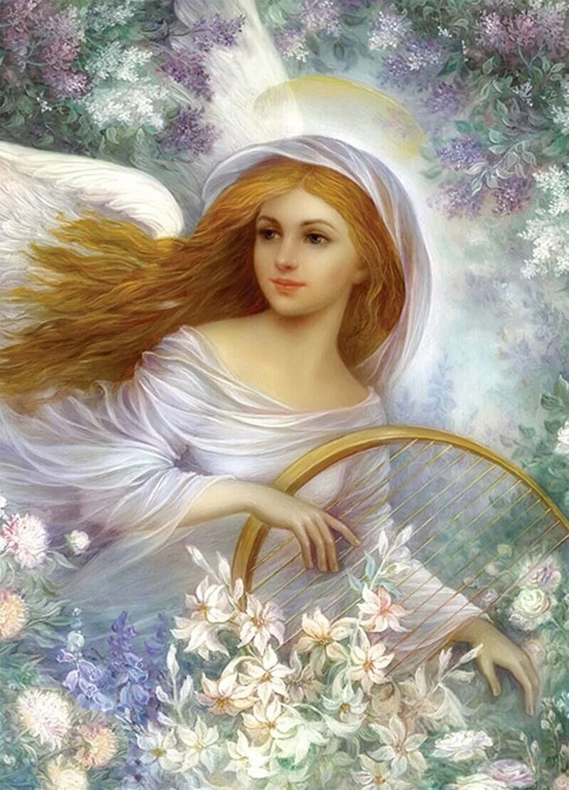 Яндекс картинки