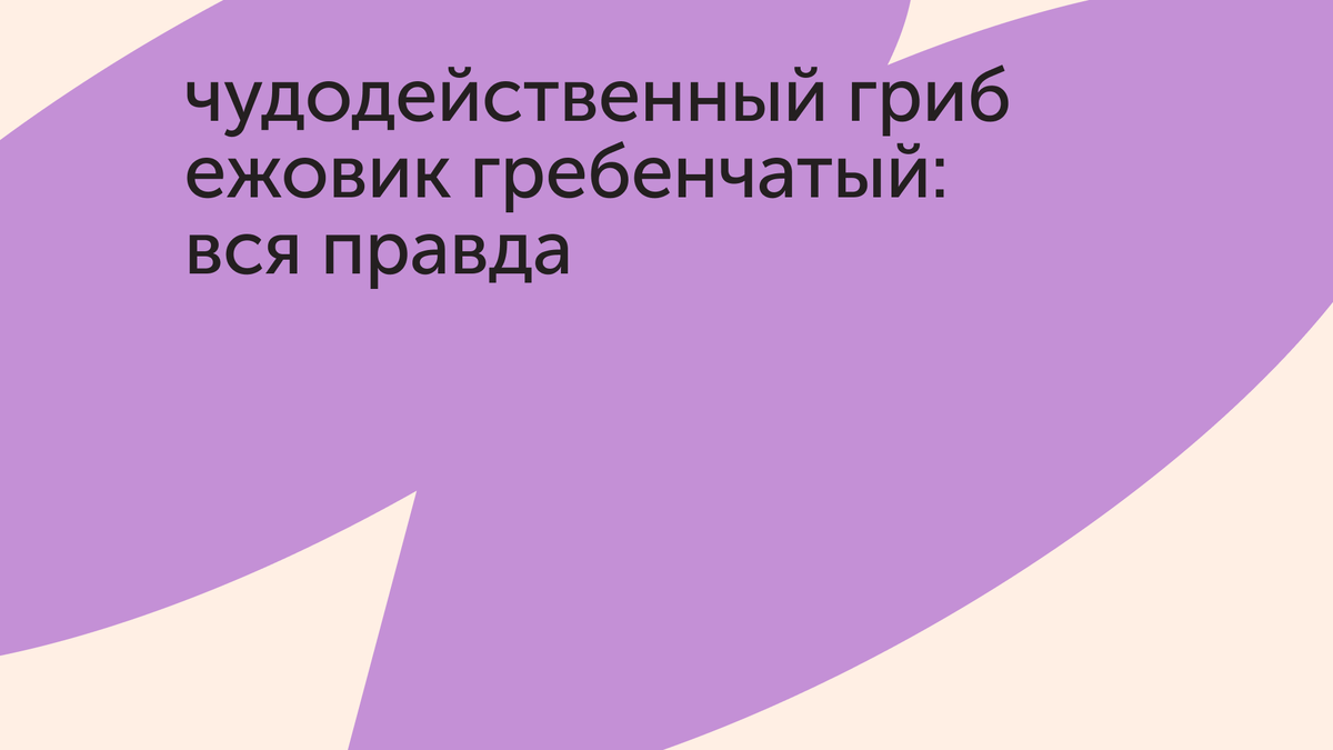Чудодейственный гриб ежовик гребенчатый: вся правда | Food.ru — Главная ...