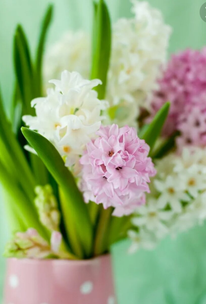 Летом и весной хочется лёгких  ненавязчивых ароматов