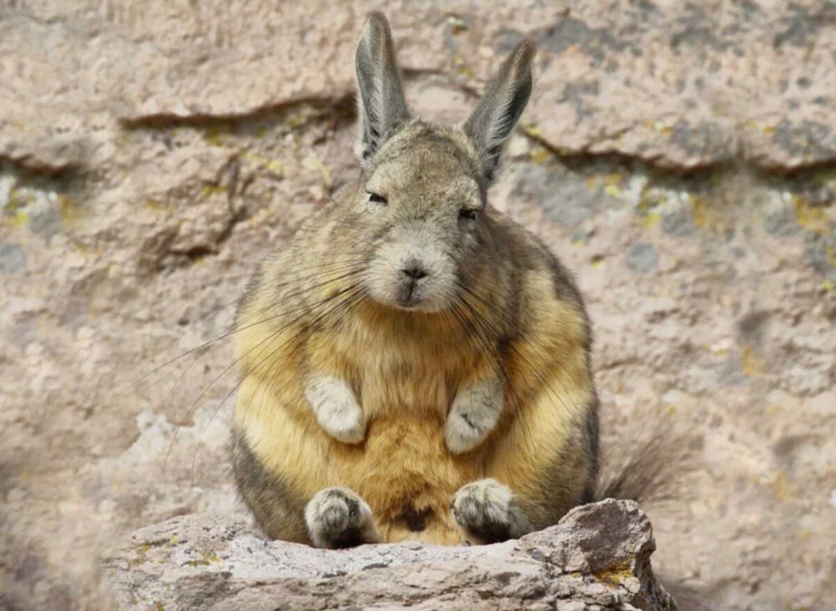 Шёл домой. Не дошёл.