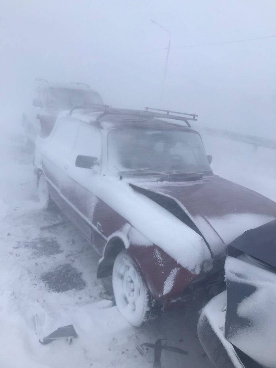    Фото: t.me/kamchatka_news