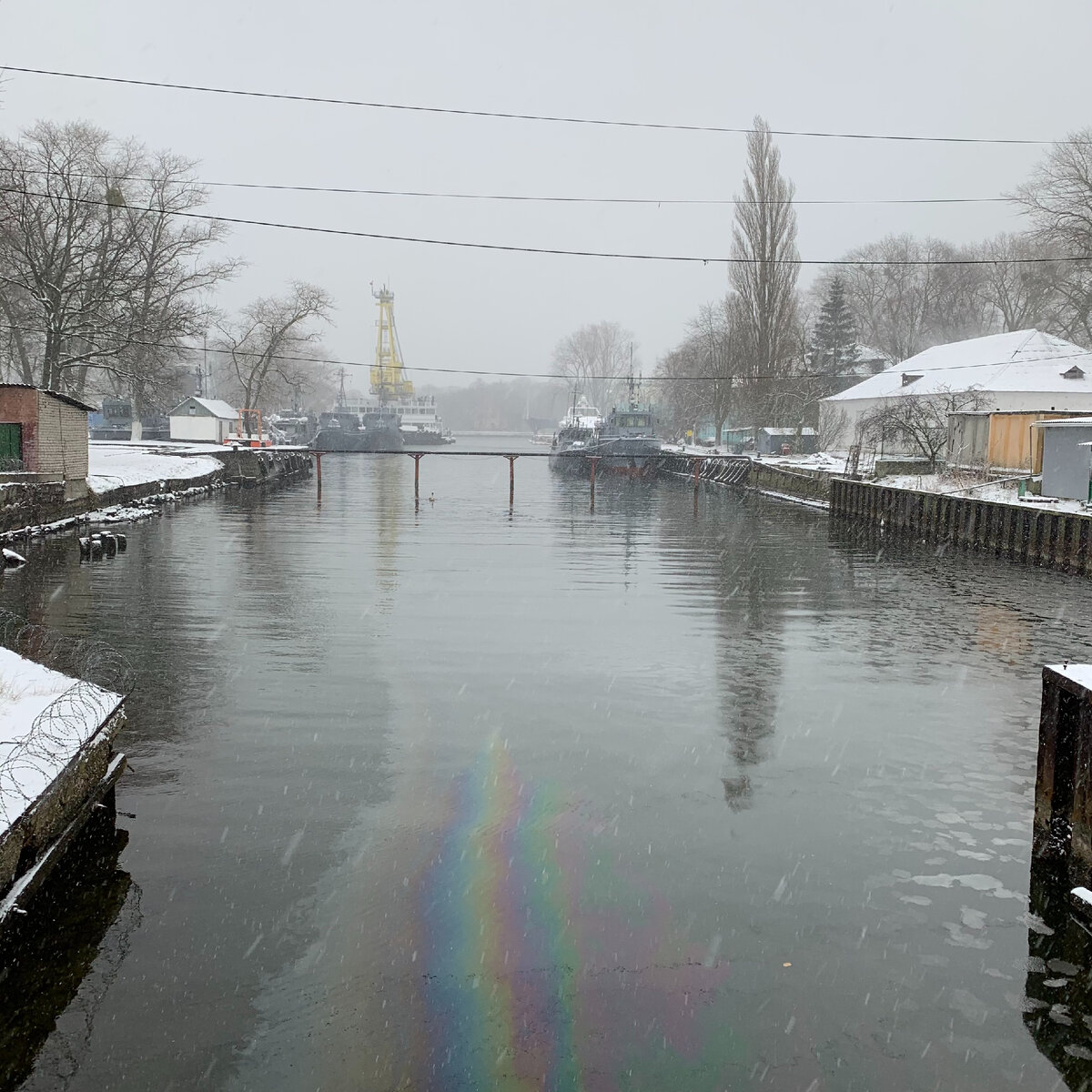 Радикальные экологи. А что вы скажите о тормозных колодках