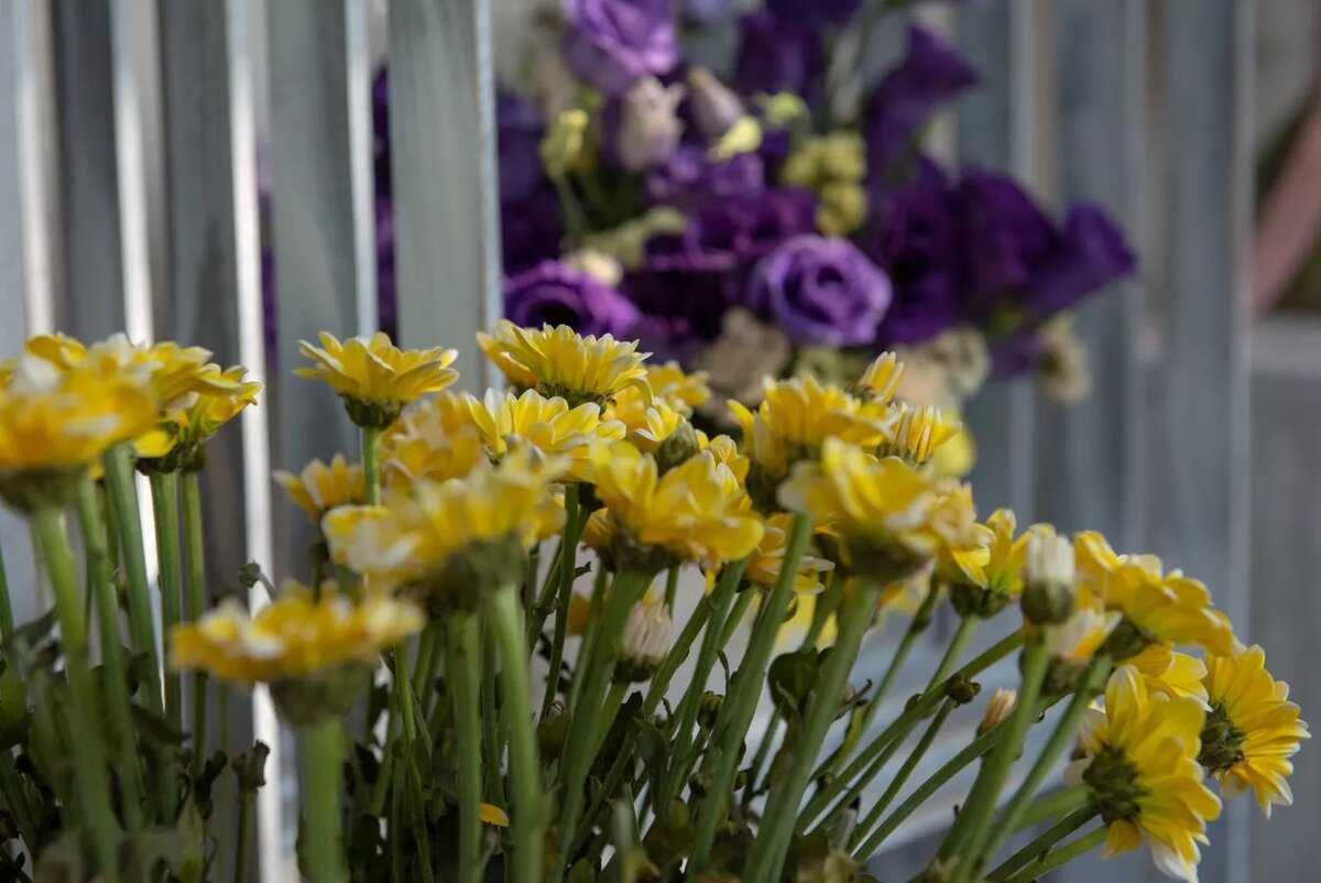 © Sputnik / Andranik Ghazaryan