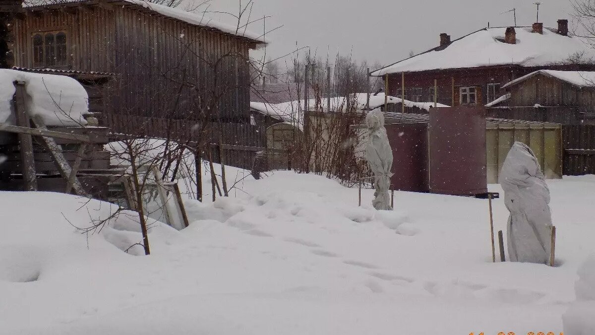 Костромских чиновников уличили в глумлении над 85-летним инвалидом ...