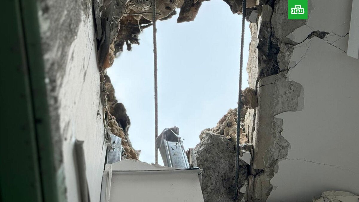    Фото: vvgladkov / t.me