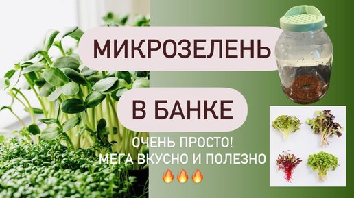 МИКРОЗЕЛЕНЬ В БАНКЕ! Крышка-сито. Проростки дома. Мега просто и легко. А главное полезно.