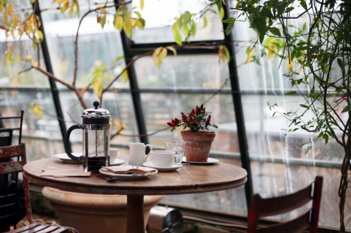    Вслед за ТЦ в Белгороде останавливают работу учреждения культуры и общепит