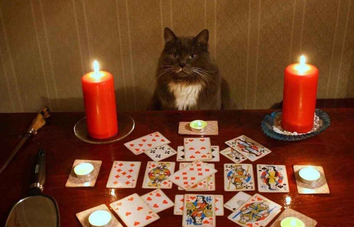 Источник: static.mk.ru