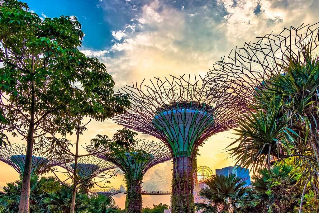 Сингапур. Gardens by the Bay - Сады на берегу залива.